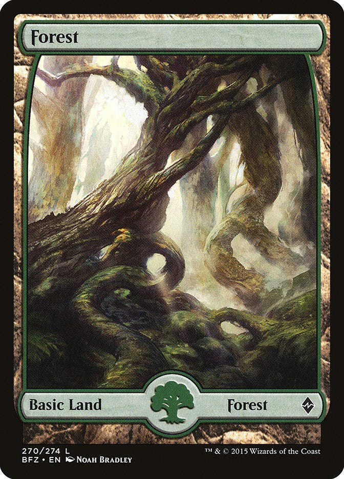 Forest (270) - Full Art