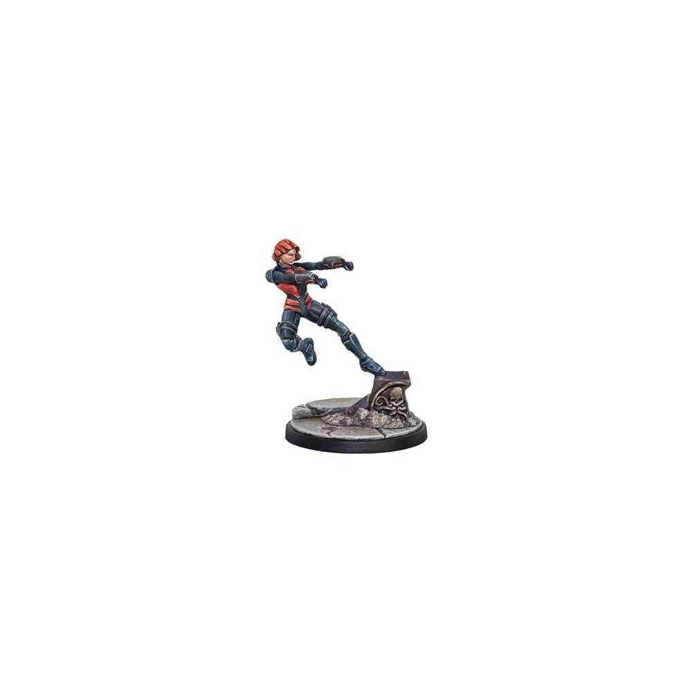 Marvel: Crisis Protocol – Magneto & Toad