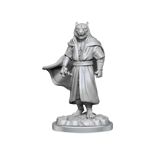 Critical Role Unpainted Miniatures Male Human Sorcerer Merchant & Tiger Demon