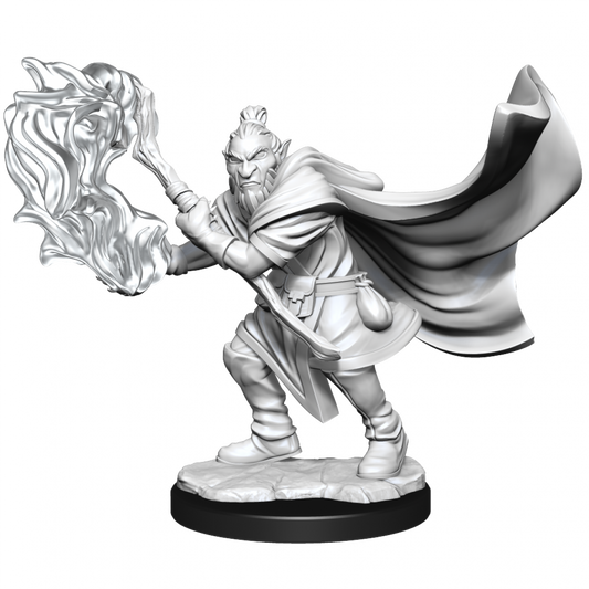 Critical Role Unpainted Miniatures Hobgoblin Wizard and Druid Male
