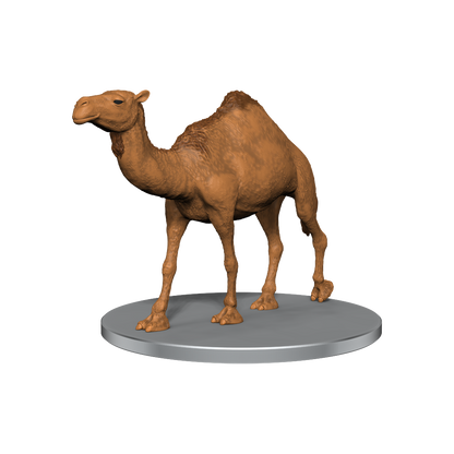 D&D Icons of the Realms Sand & Stone