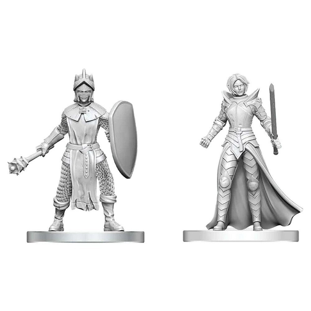 D&D Nolzur's Marvelous Miniatures: Black Gauntlet & Zhentilar Paladin of Bane