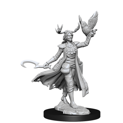 D&D Frameworks Human Druid Female