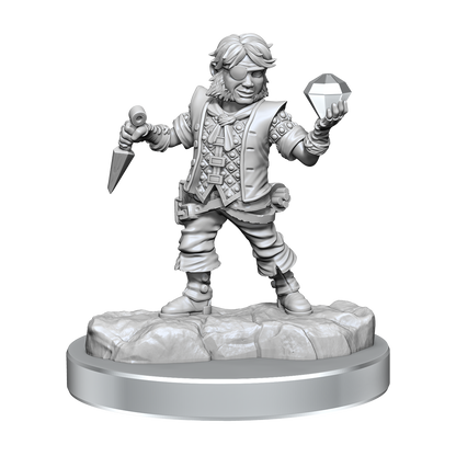 D&D Frameworks Halfling Rogue Male