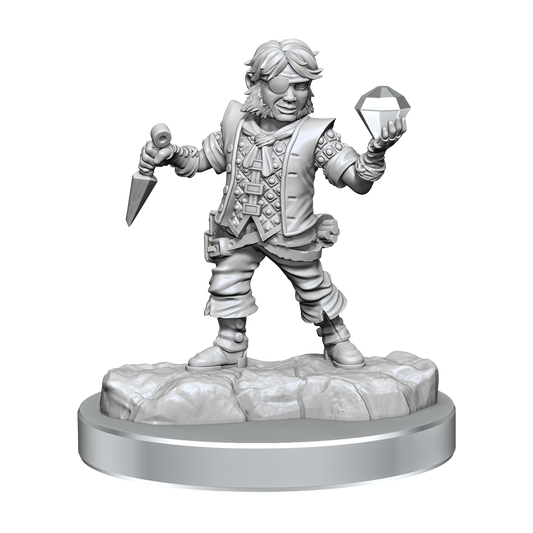 D&D Frameworks Halfling Rogue Male
