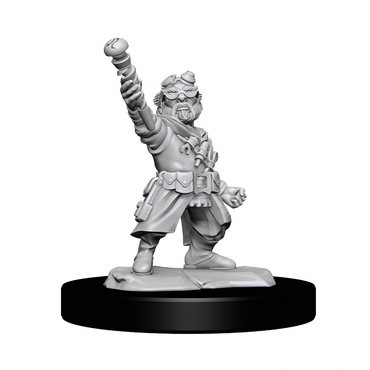 Gnome Artificer (Male)