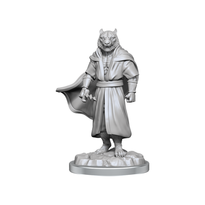 Critical Role Unpainted Miniatures Male Human Sorcerer Merchant & Tiger Demon