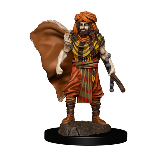 D&D Premium Painted Figures Human Druid Male