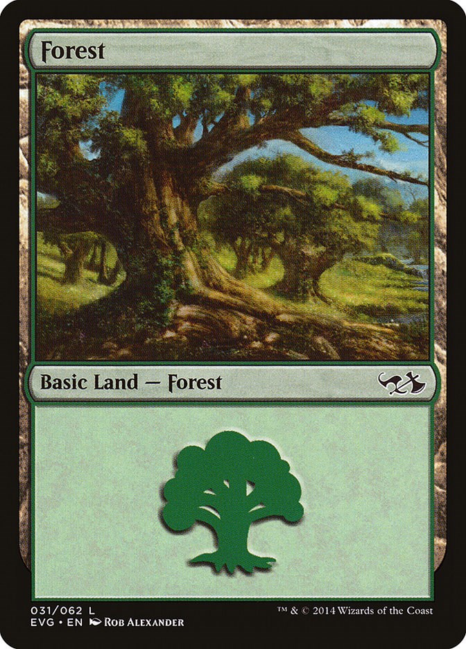 Forest (031) (EVG)