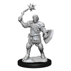 Critical Role Unpainted Miniatures Human Clovis Concord Cleric Male