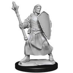 Critical Role Unpainted Miniatures Human Clovis Concord Cleric Male