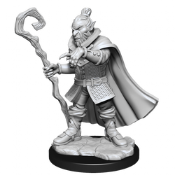 Critical Role Unpainted Miniatures Hobgoblin Wizard and Druid Male