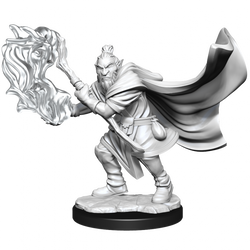 Critical Role Unpainted Miniatures Hobgoblin Wizard and Druid Male