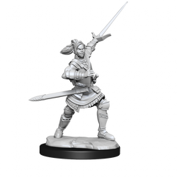 Critical Role Unpainted Miniatures Half-Elf Paladin Xhorhas Female