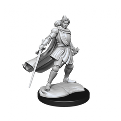 Critical Role Unpainted Miniatures Half-Elf Paladin Xhorhas Female