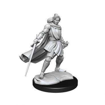 Critical Role Unpainted Miniatures Half-Elf Paladin Xhorhas Female