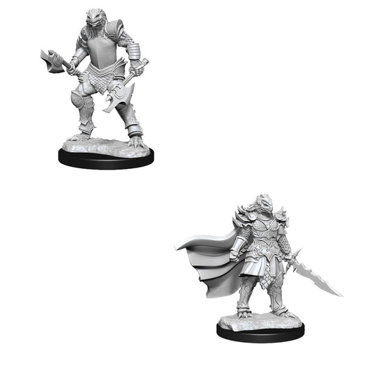 D&D Nolzurs Marvelous Unpainted Miniatures Dragonborn Fighter Female